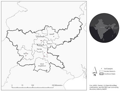 Soils and Human Health: Connections Between Geo-Environmental, Socio-Demographic, and Lifestyle factors and Nutrition of Tribal Women of Jharkhand, India